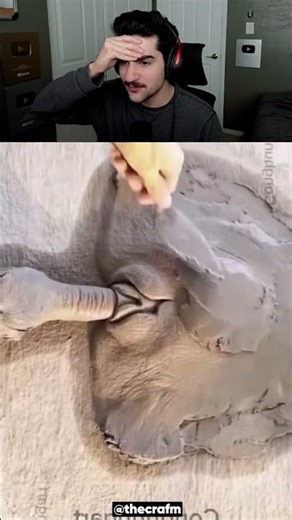 How to Make Turtle! 🤯