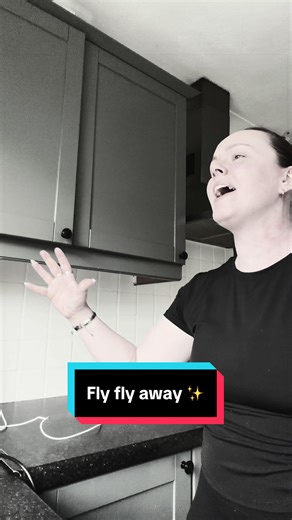 Musical Theatre Cover: 'Fly Fly Away' from Catch Me If You Can