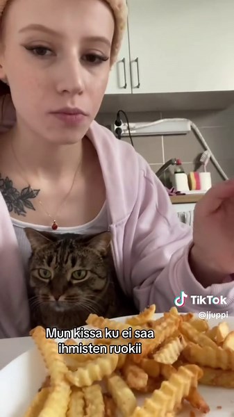 Kyl johoki pitää soittaa jos ei ees jätskii saa vähä maistaa #kissat #kissavideoita #catsoftiktok
