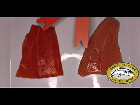 THREE STREAMS: The Difference Between Salmon and Trout