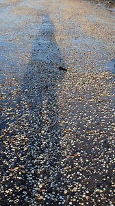 Crunchy walk along the beach | Aps Drones