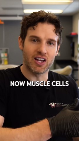 Institute of Human Anatomy | Fast Twitch and Slow Twitch Muscle Fibers #muscle #fasttwitch #contract #howitworks #anatomicalawesomeness | Instagram