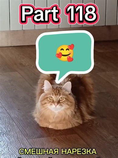 Hilarious Compilation of Random People