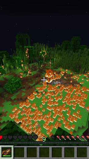 Destroying the pandas habitat