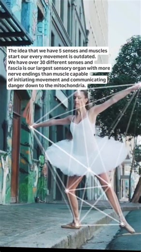 20K views · 3.7K reactions | QUANTUM FASCIA PT 6 We are taught we...