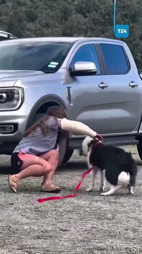 Dağ yürüyüşünde sahibini kaybeden Molly 1 hafta sonra bulundu