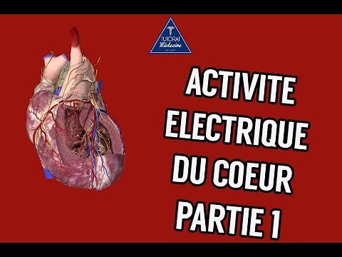 Physiologie Cardiaque - Activité électrique du coeur Part1