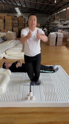 ✅ 4-Layer Japanese Style Natural Latex Mattress (Link in Description)