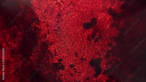 Macro static footage of red porphyra under microscope 100x on bright field background. Scientific slide with alga for studying it on biology lessons. Research of seaweed. Investigation of marine life.