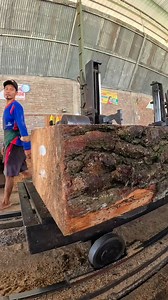 155K views · 1.5K reactions | This process continues, turning log after log into beautiful, ready-to-use planks | Sawmill & Woodworking | Facebook