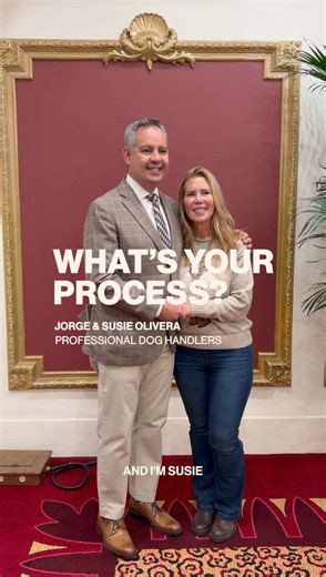 Ep 02: The process of handling the best dogs in America, ft. Jorge and Susie Olivera @Westminster Kennel Club #westminster #dogshow #bestinshow #whatsyourprocess @American Kennel Club
