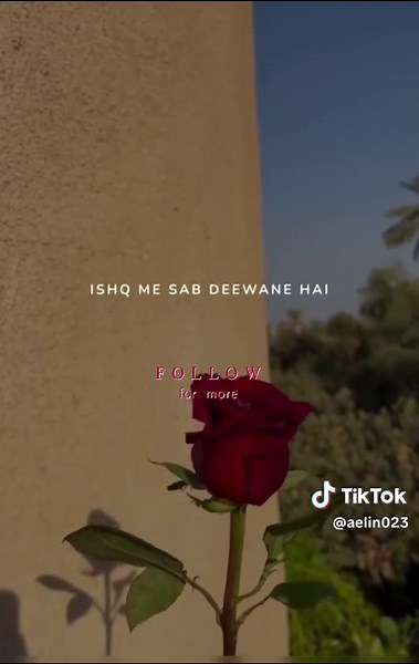 Captivating Background Music for Your Next Project