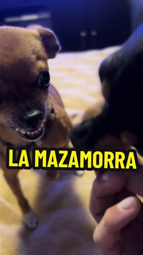 Mazamorra casera: receta fácil cuando tu papá se comió los dedos