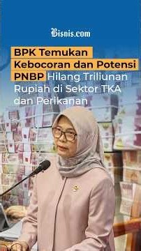 BPK Temukan Kebocoran dan Potensi PNBP Hilang Triliunan Rupiah di Sektor TKA dan Perikanan