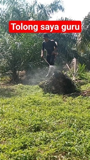 Help me teacher, what kind of move is this teacher #meme #funnyvideo #entertainment