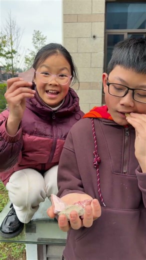 Looks Like a Rock, Tastes Like Chocolate! Deceptive Snack 🤯