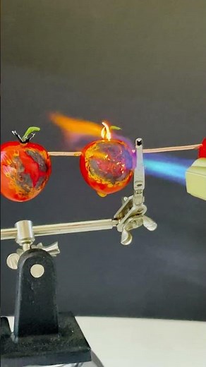 What happens if you burn Tomatoes? 🔥 Crazy fire experiment!