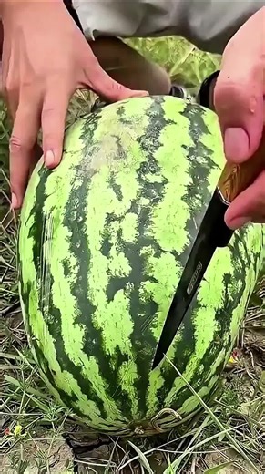 Creative Fruit Cutting Ideas for Your Next Party