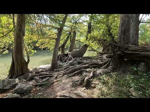 Guadalupe River State Park: A Must Visit in Central Texas for River Fun and Hiking