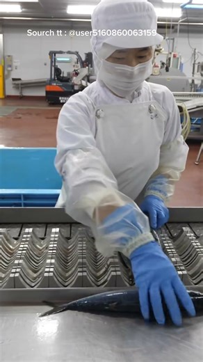 “Canned Mackerel Factory — All Automatic & Hygienic 😮🔥 #foodshorts #food #foodie #shorts