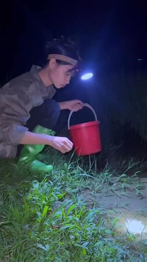 Hành trình tiếp theo của cô gái một mình nuôi con. Đi soi đêm bắt được nhũng gì..