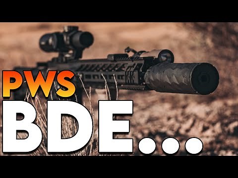 The BDE Suppressor from Primary Weapons Systems