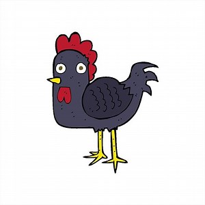 art cartoon chicken