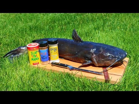 CATFISH Cookout on the Lakeshore! (FISH SANDWICHES)