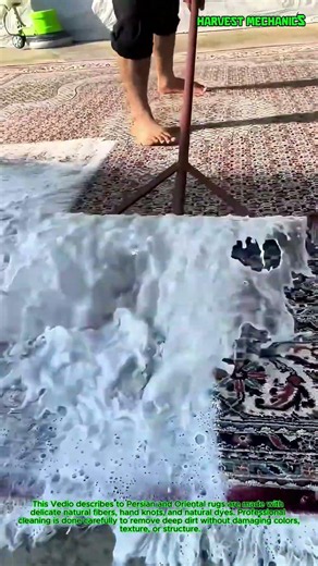 How Professional Cleaners Wash Expensive Persian Rugs : The Real Way to Clean an Oriental Rug
