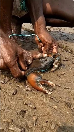 Easy way to control a crab #shorts