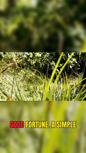 Carry Your Luck! Appalachian Protection Charms #folkmagic #tradition #appalachia