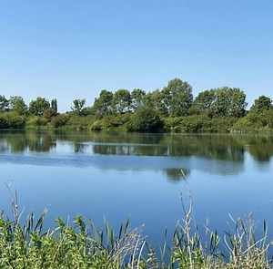 Majestic Pool - LakeBookings.com