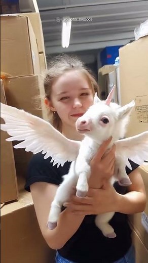 real unicorn baby born in usa #universe #unique #shots #mystery #viralvideo