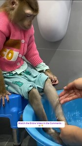 Monkey Lyly is perplexed by the unusual smell on her feet and her mother's reaction....#monkeyLala #Monkeykaka #Cubismonkey #expore #trending #monkeyBibi #monkeyCUTIS | Monkey LyLy Famliy