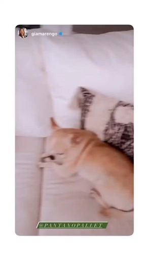 ❤️ Pensar que este video dio el nombre a nuestra terraza Gia 🪴 Siempre que nos preguntan por Terrazas les explicamos que nuestras fundas son lavables, con filtro UV, hidrorrepelente y con rellenos de espuma de alta densidad, para que no se deformen, y además todas las espumas van con una capa extra de nada antes de la tela. No compres cojines que en un par de meses se deforman y dejan de funcionar, además de ser incómodos porque te sientas prácticamente tocando la madera. Consulta por tu terraz