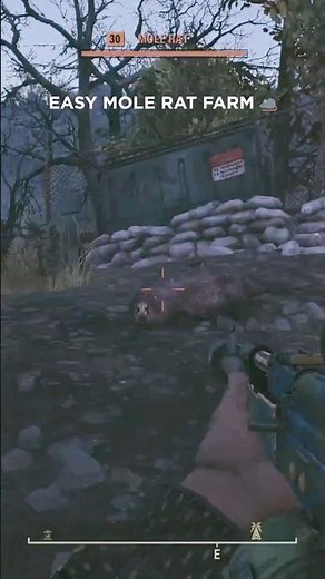Fallout 76 Mole Rat Location: Transmission Station 1AT-U03 📍 🗺️ #shorts #fallout76 #fo76