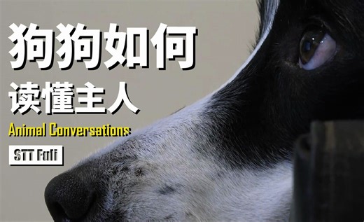 【动物纪录】[中文字幕] 狗狗如何读懂主人 | Animal Conversations | 野兽物语