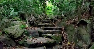 New Bukit Batok Hillside Nature Park & Bukit Batok Central Nature Park will be 'sensitively enhanced'