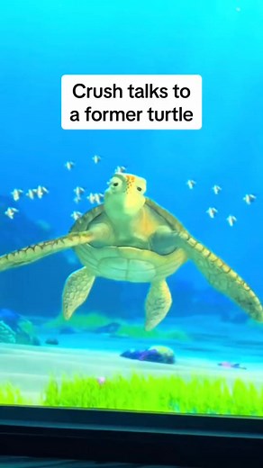 The Little Turtle The Little Turtle #turtletalkwithcrush #disneyland #disneyworld #californiaadventure | Turtle Crush Talk 2.0