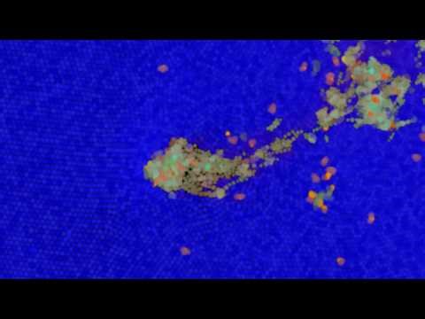 First Moving life in SST