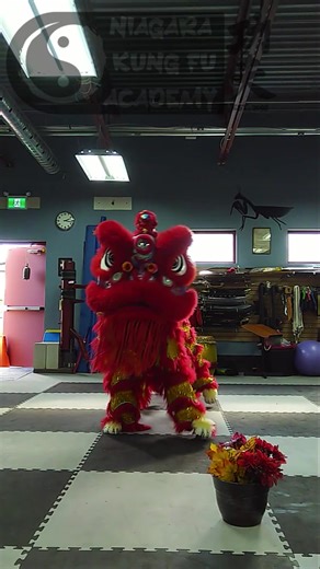 For the Kids who can't get enough KPDH #derpy #kpopdemonhunters (yeah, for the "kids") | Niagara Kung Fu Academy