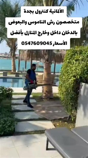 ‏شركة رش الناموس بجدة #جدة_الان #شعب_الصيني_ماله_حل😂😂
