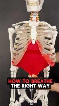 How to Breathe the RIGHT Way!