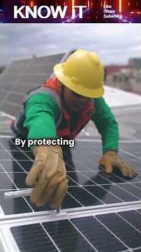 Why We Must Care for Our Planet?