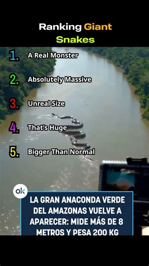 Ranking Giant Snakes