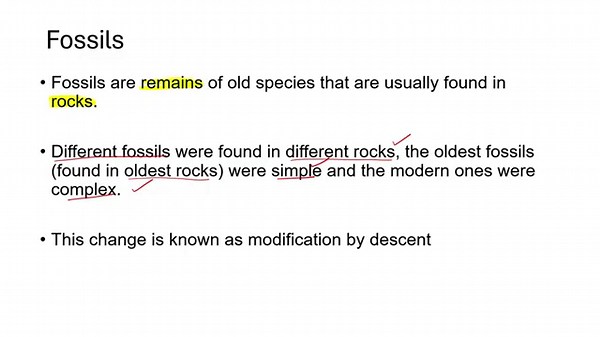 Evidences of Evolution and Natural Selection Explained