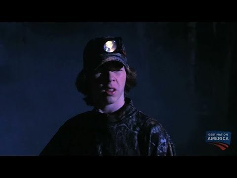 Swampland Creatures | Monsters and Mysteries in America