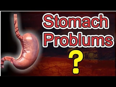 Inside the Human Stomach: Amazing Facts & Digestive Secrets! 🥗🧬”
