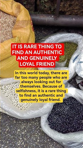 IT IS RARE THING TO FIND AN AUTHENTIC AND GENUINELY LOYAL FRIEND