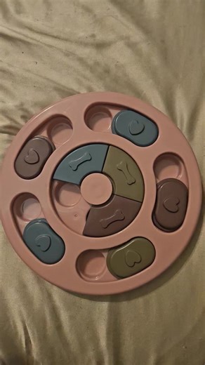 This isn’t just a toy — it’s a teaching tool 🧠🐾 Mental enrichment builds focus, problem-solving skills, confidence, and impulse control. I use activities like this to help puppies learn how to think, not just how to play. A stimulated mind = a calmer, happier puppy ✨ | Rainbow Yorkies